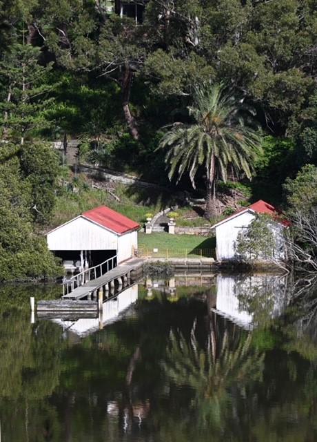 Glenlee boatsheds and jetty with a palm tree, reflected in the river